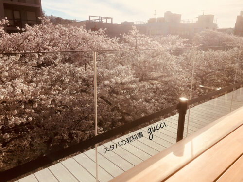 ロースタリー東京3階から眺める目黒川の桜