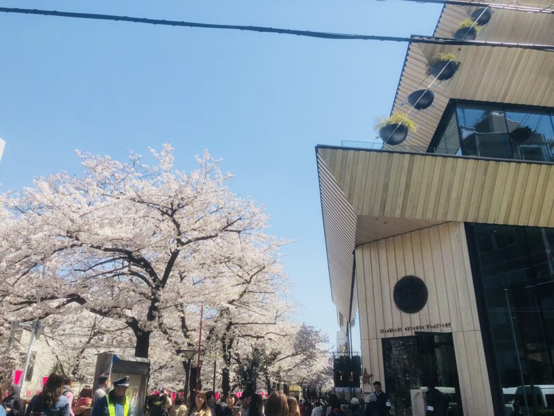 ロースタリー東京と目黒川の桜